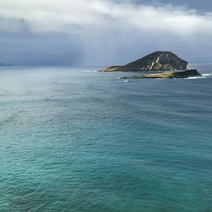 Meet your Posher, Maddie